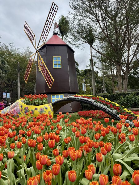 士林官邸~鬱金香2717303