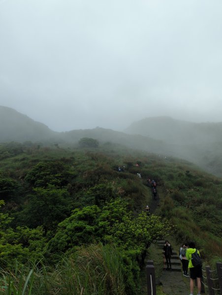 2023.04.22－七星山步道2123968