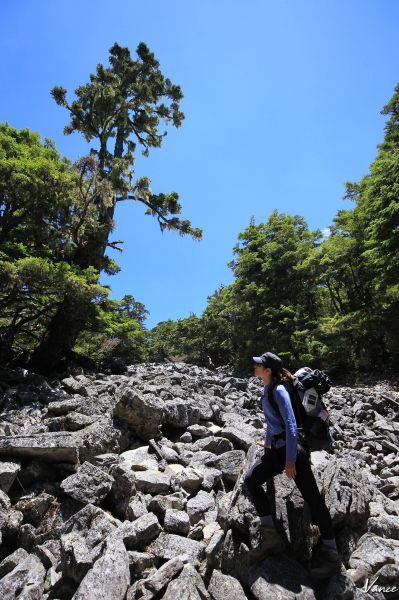 兩天一夜武陵四秀（池有,品田,桃山）376077