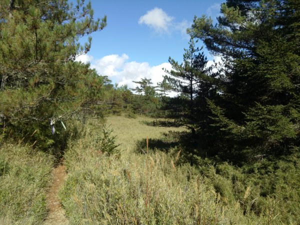 將軍廟上天鑾池+武法奈尾山1881030