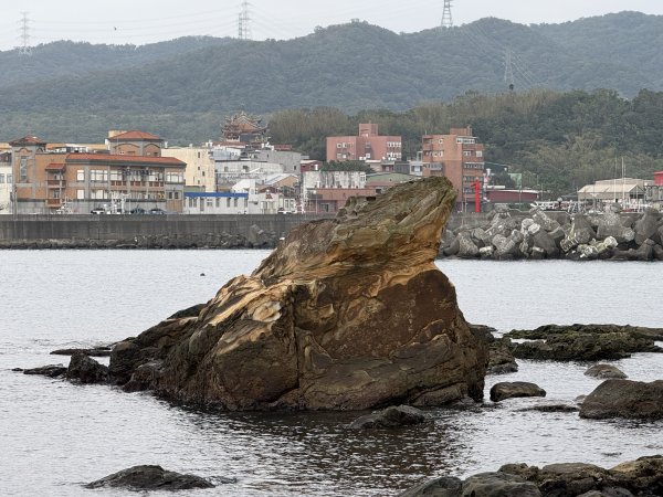 龜仙岩與玫瑰岩2680878