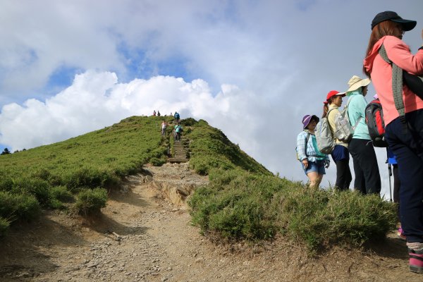 武嶺拍鳥順遊石門山及合歡尖山704451