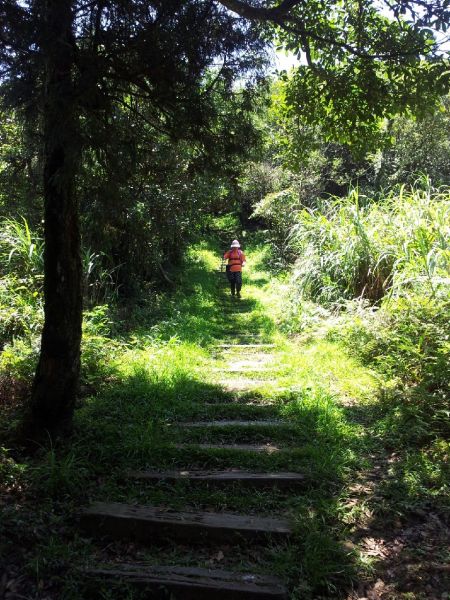 104.07.25 基隆姜子寮山 泰安瀑布190292