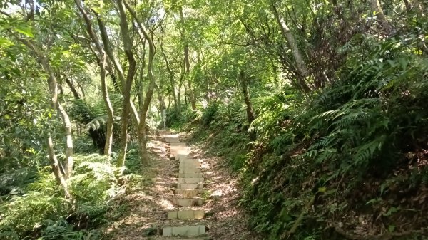 汐止區旗尾崙-姜子寮瀑布-姜子寮絕壁3083444