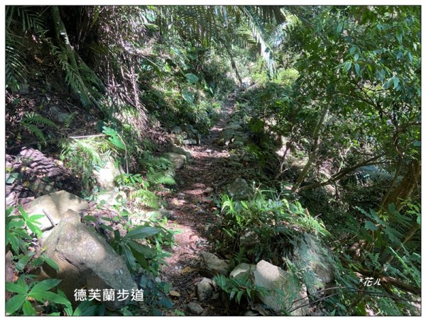 北松鶴山、德芙蘭步道 (台中 和平)2922138