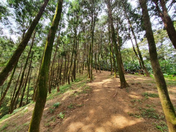 土城天上山，大暖尖山，猴洞，清水石門山，桐花公園，賞螢步道，承天禪寺，桃園福源山1645592