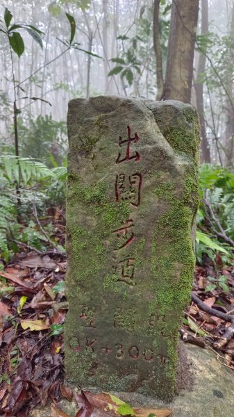 關刀山（出關古道-聖關段）苗栗小百岳1943918