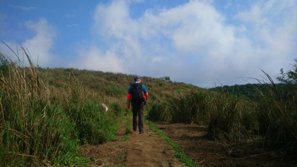 陽明山東西大縱走(東線)965659