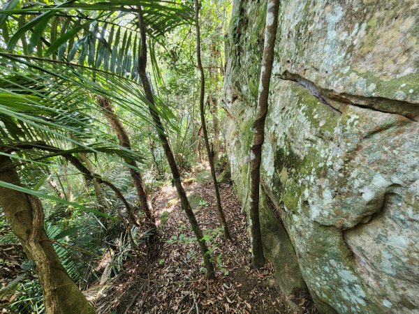 20251214石牛山柑坪山新柑坪山牛背岩2972747