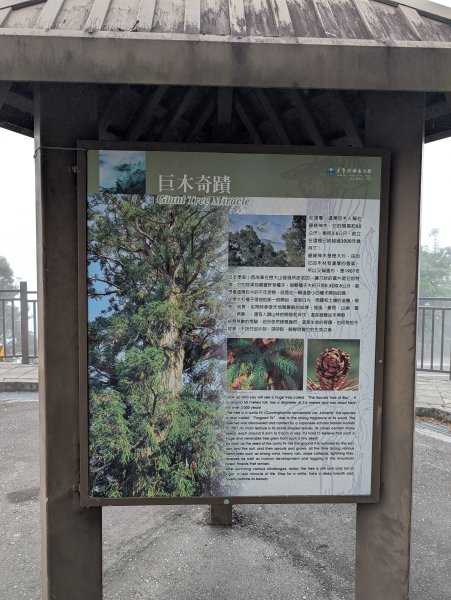 卡拉寶山3048441