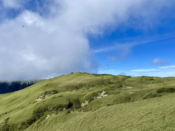 【單攻奇萊北峰】 完美的高山訓練場域 ！2541919