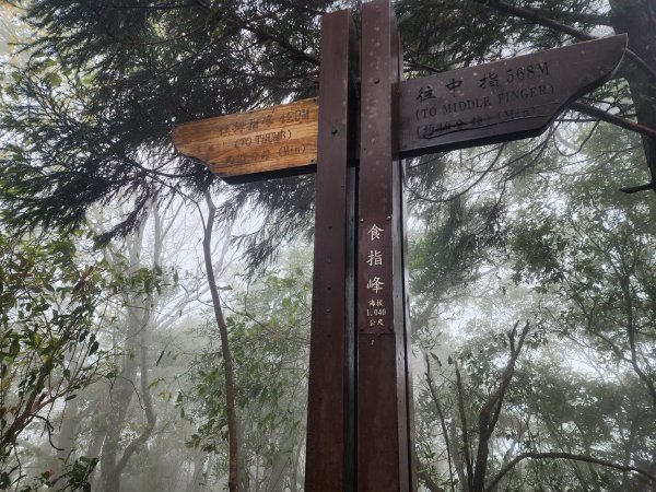 20241208上坪登五指山2683672