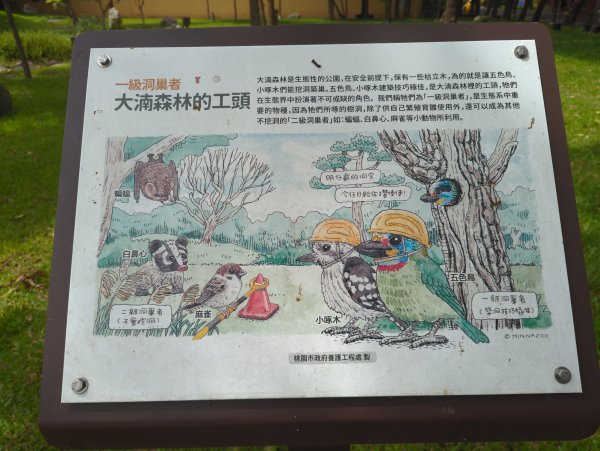 2025.07.20－霄裡好風光：大湳森林公園&亮亮健康樂園2841531