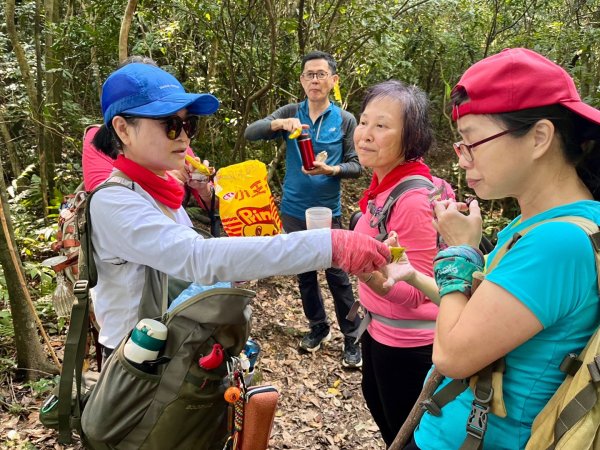 東勢大崙、東勢坑山、觀音湖山O走2986390