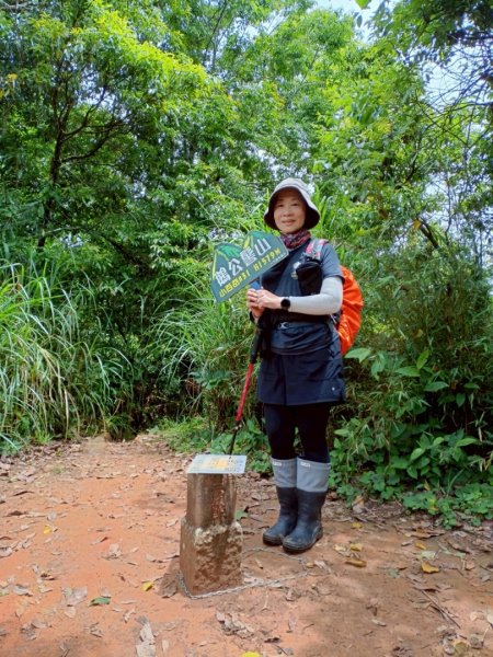 鵝公髻山採桃趣-202505302865294