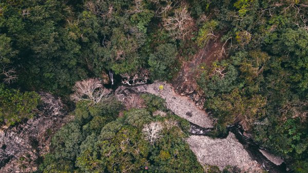 2025嘎拉賀野溪溫泉2719813