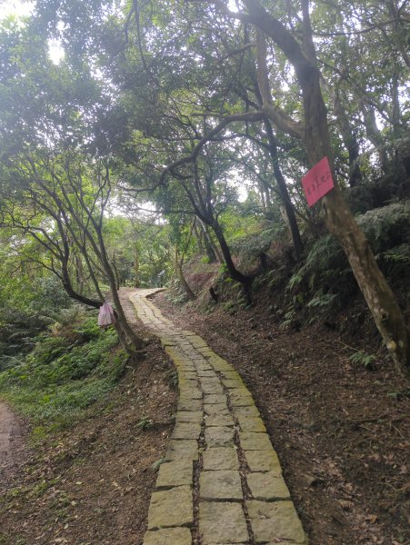 2026.01.25－微笑山線：【天上山系】烘爐地土地公段2994590