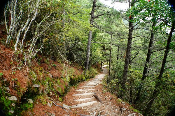 臺灣 嘉義 玉山3110177