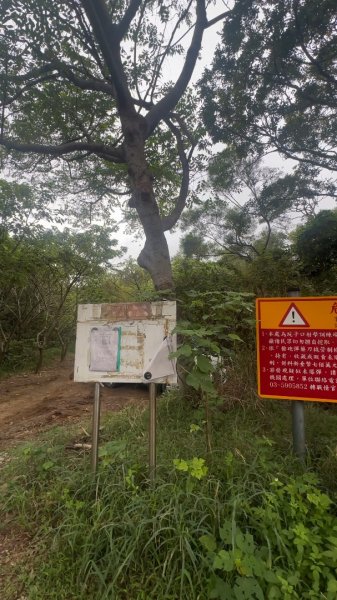 新竹竹北-鳳崎落日步道2618971