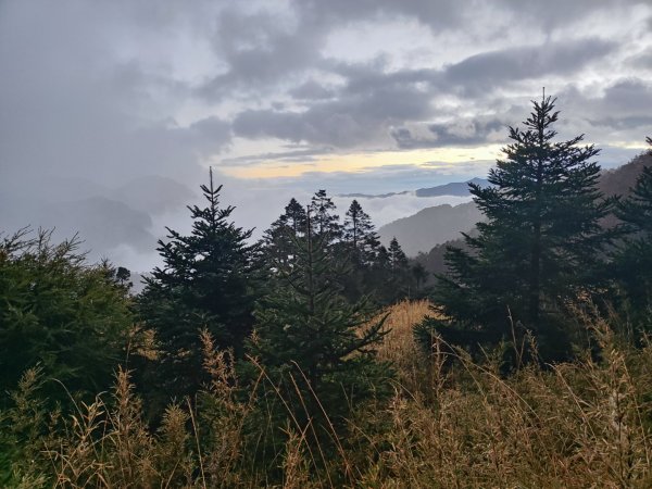 1/1元旦雪主東2681442