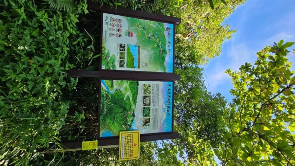 【暑假停課不停走】解鎖第49座小百岳#093都蘭山2822521