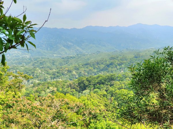 鳶嘴山，醜崠山，長壽山，榛山步道，三員縱走，文林古道，高梘頭山，糖塔山，鐘樓古道1691669