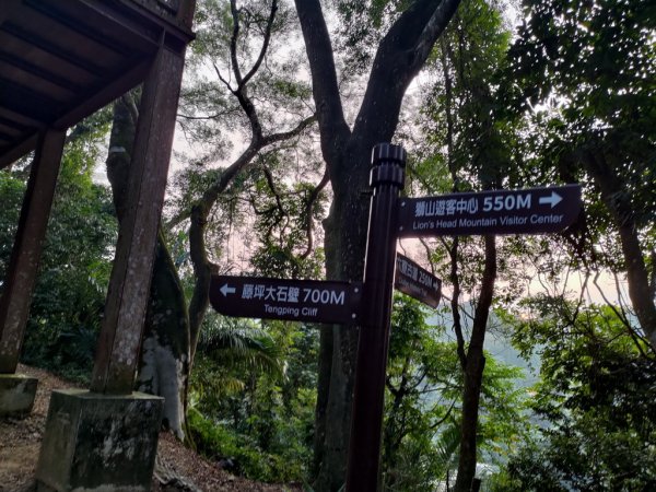 【新竹縣峨嵋鄉】藤坪步道2833234