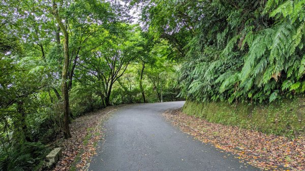 四分尾山,勤進路2515134