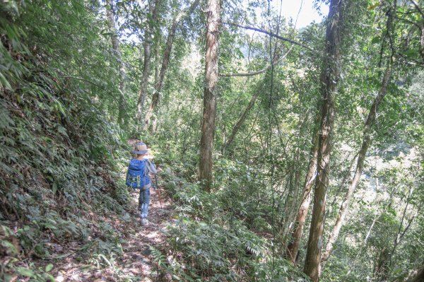 闊瀨古道-沿北勢溪谷而行的夏末之旅（淡蘭古道）2287643