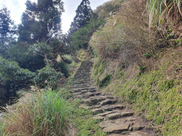 夢幻湖步道1275204
