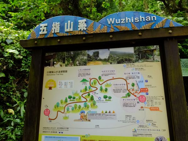 白鷺鷥山與大湖公園落羽松步道235800