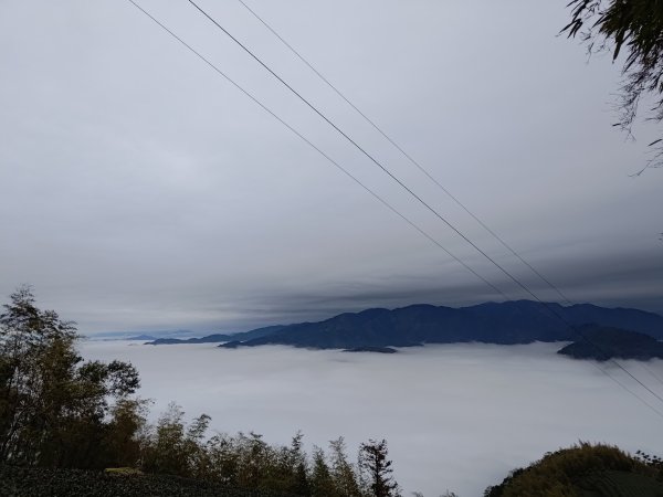 雲嘉大尖山2701279