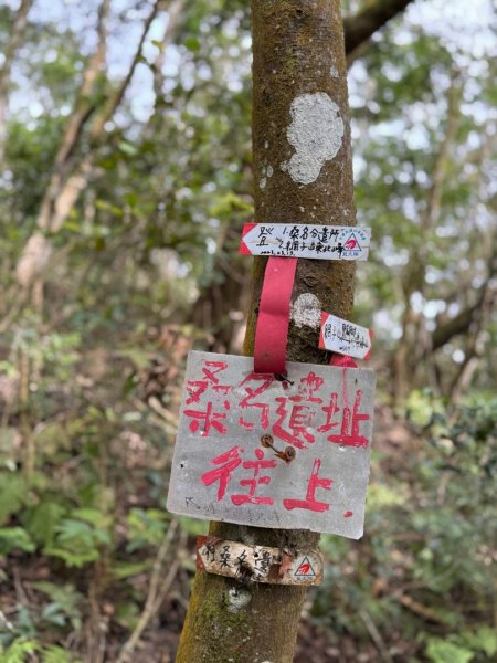 六龜警備道/茂林段/網子山～鳴海山2708193