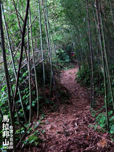 馬那邦山-珠湖登山口攻頂折返 678550