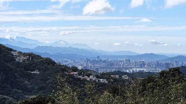 即將春季的百花齊放鵝尾山串行古圳道及平菁街42巷賞櫻健行O型走2988686