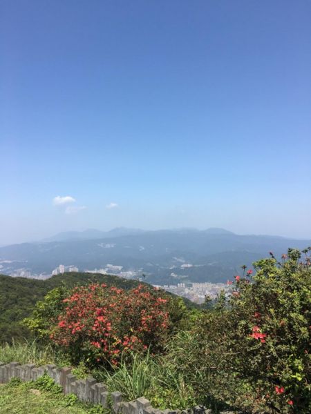 汐止大尖山（大針山）294661