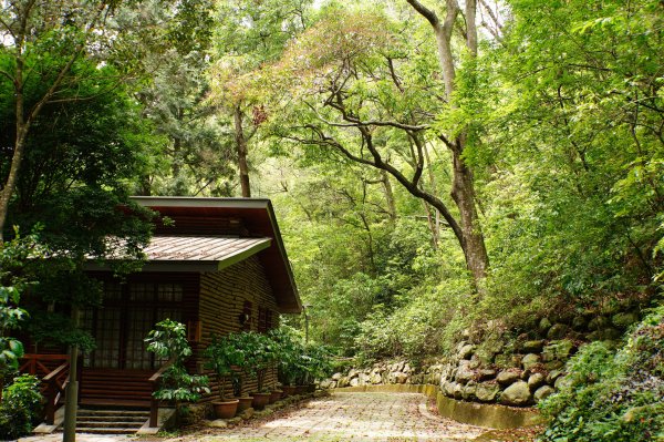 南投 仁愛 松風山3052506