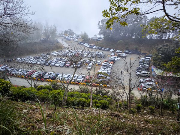 2026-02-08 藤枝山2998426