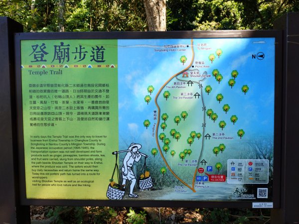 松柏嶺O形2908122