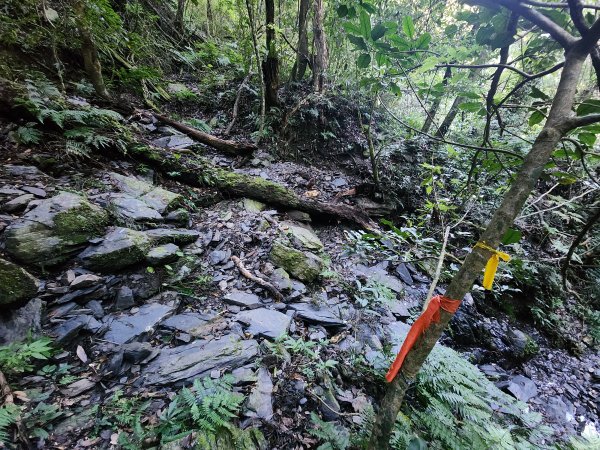 20241124布奴加里山2679111