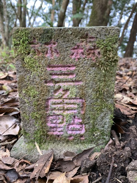 20250129高雄塔羅留山-塔羅留山南峰-他果晏山2705268