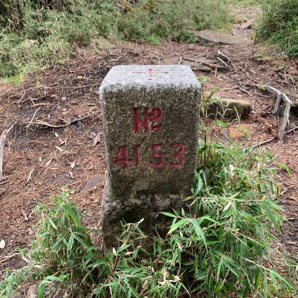 20240518嘉義鹿林山-鹿林前山-石山2508090