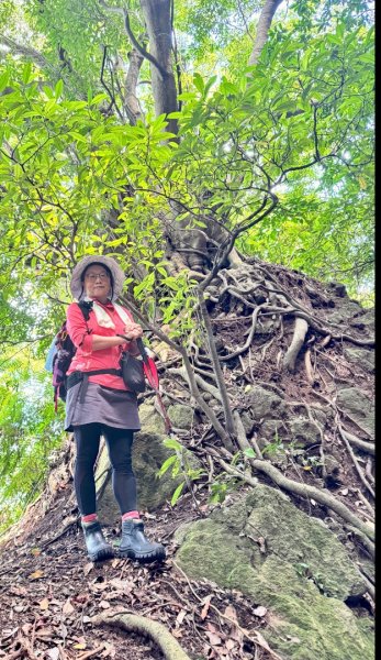 天母水管路走陽明山尖山2881355