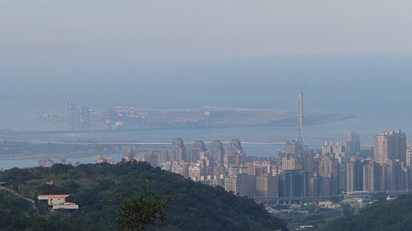 20260125 陽明山前後山健行(無極天元宮~山仔頂步道.向天池.向天山.面天山.二子坪)2997945