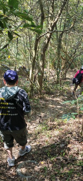 2026-0315 桃園虎頭山3015942