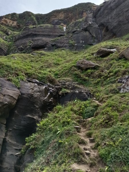瑞芳區神秘海岸+鼻頭角燈塔+鼻頭角稜谷步道O型2760148