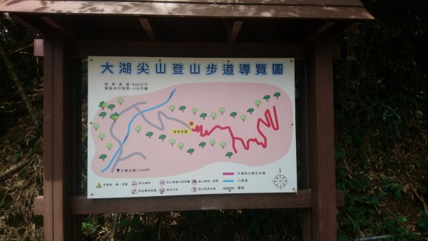 階梯多到不行又濕滑的大湖尖山1733724