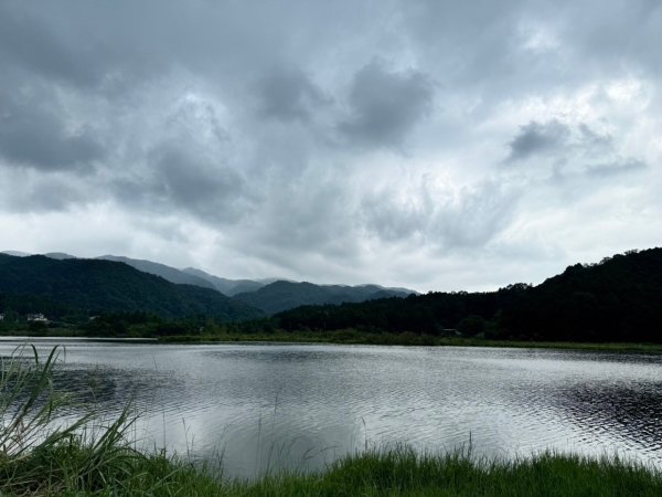 三針後山、雙連埤犬香薷節2592709