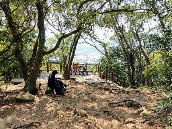 新竹飛鳳山(中坑山)小百岳880251