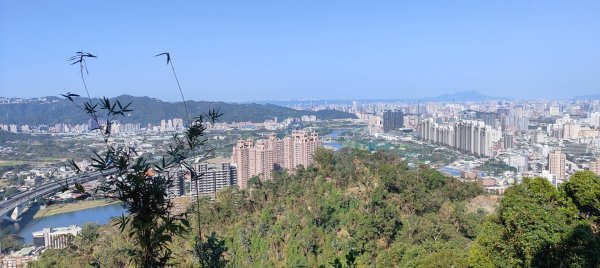 新店獅頭山(小獅山)步道2694756